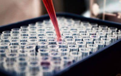 VirTus Supports Development of Apollo Therapeutics’ APL-10456