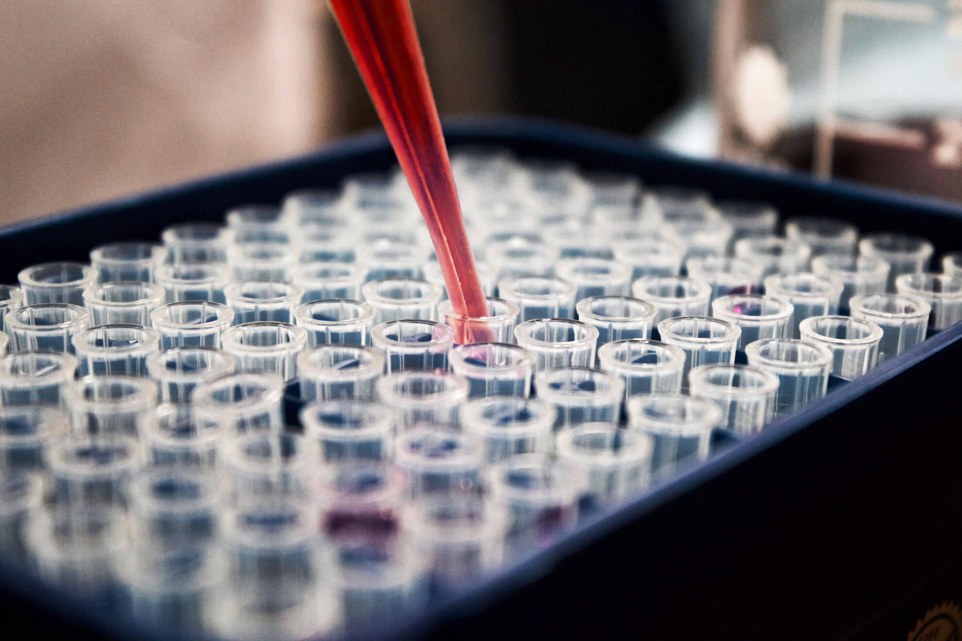 VirTus Supports Development of Apollo Therapeutics’ APL-10456